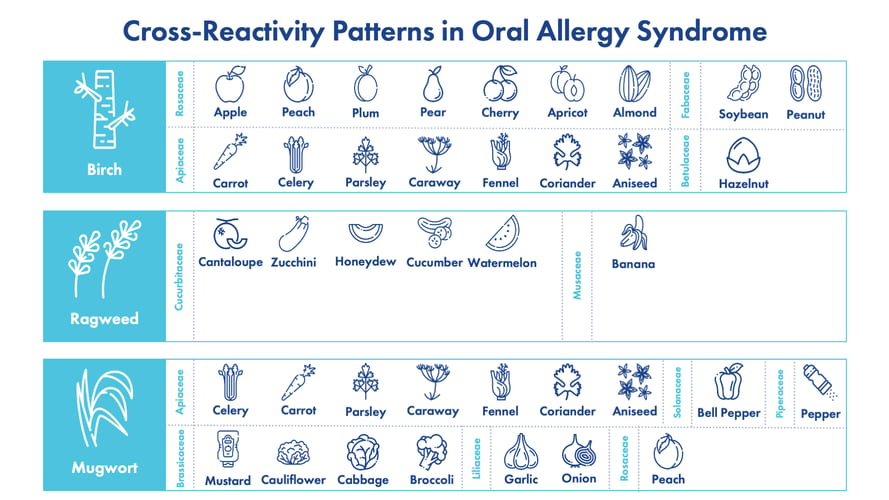 understanding-pollen-food-allergy-syndrome